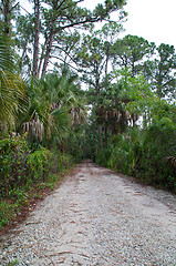 Image showing old rural dirt road