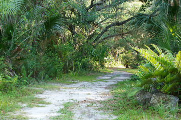 Image showing winding dirt road