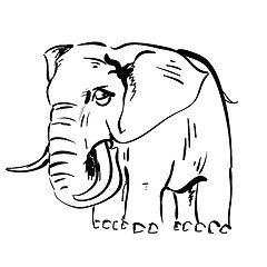 Image showing elephant