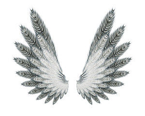 Image showing wings