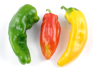 Image showing Heirloom peppers