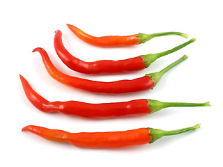Image showing Cayenne peppers