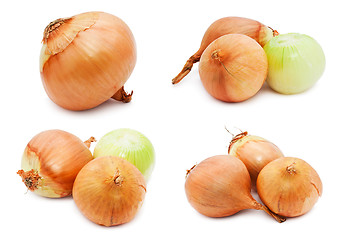 Image showing Onion