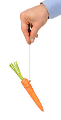 Image showing Carrot on String