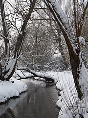 Image showing River in winter