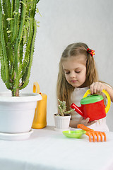 Image showing Girl pours from a watering can cacti