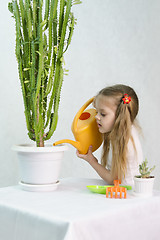 Image showing Girl pours from a watering can cacti