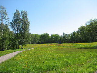 Image showing Summer landscape