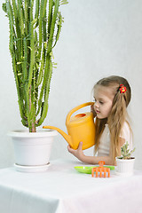 Image showing Girl pours from a watering can cacti