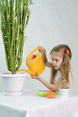 Image showing Girl pours from a watering can cacti