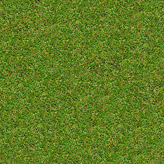 Image showing Green Meadow Grass. Seamless Texture.