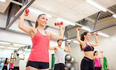 Image showing group of people working out with dumbbells