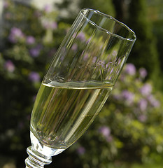 Image showing A glass of whitewine