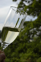 Image showing Whitewine