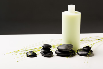 Image showing shampoo bottle, massage stones and green plant