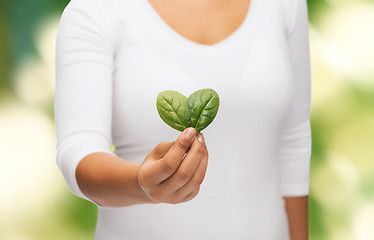 Image showing closeup woman hand with green sprout