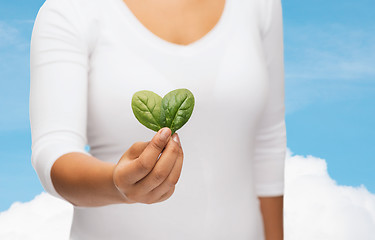 Image showing closeup woman hand with green sprout