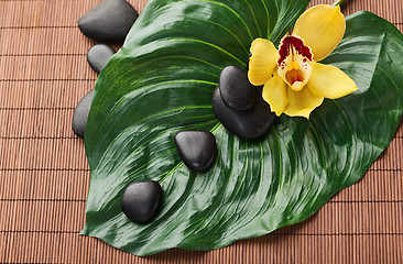 Image showing massage stones with flowers on mat