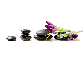 Image showing massage stones with flowers on mat