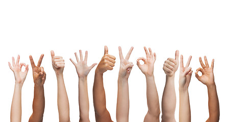 Image showing human hands showing thumbs up, ok and peace signs