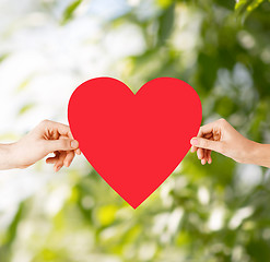 Image showing couple hands holding red heart