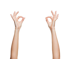 Image showing woman hands showing ok sign