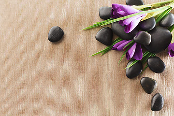 Image showing massage stones with flowers on mat