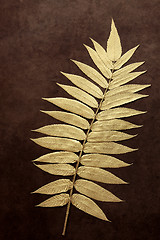 Image showing Gold Leaf Beauty