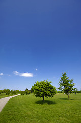 Image showing Park