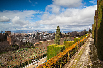 Image showing Gardens in Granada in winter