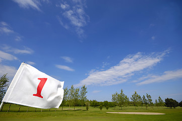 Image showing Golf flag