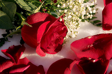 Image showing Romance is Blooming