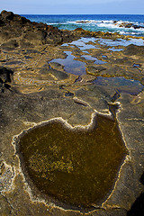 Image showing in spain  lanzarote    water  musk pond  coastline and summer 