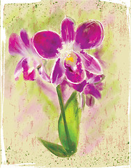 Image showing bouquet of orchids