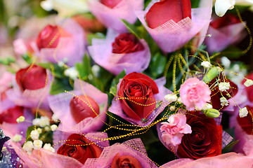 Image showing Red rose flowers