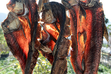 Image showing Dried Fish