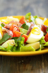 Image showing Salad and potatoes, egg and anchovies.