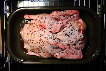 Image showing raw duck