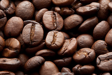 Image showing Coffee beans