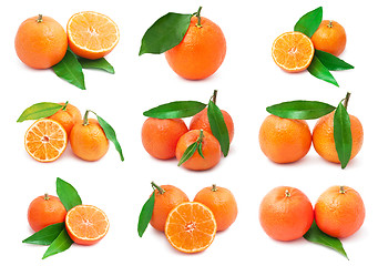 Image showing Mandarins