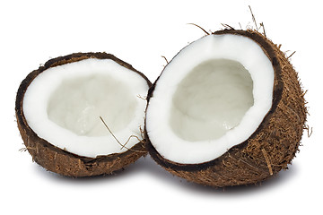 Image showing Coconut