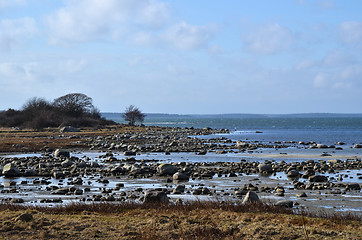 Image showing Rocky coastline at low water