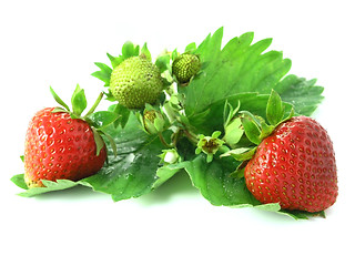 Image showing strawberries