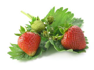 Image showing strawberries