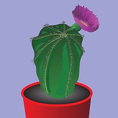 Image showing cactus flower