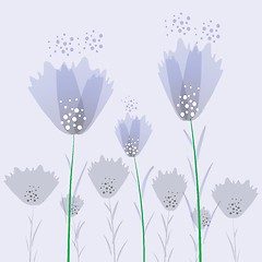 Image showing blue flowers