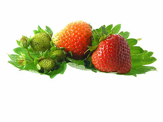 Image showing strawberries