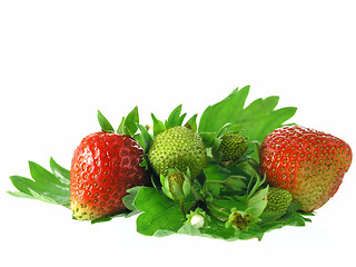 Image showing strawberries