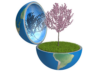 Image showing Tree inside planet