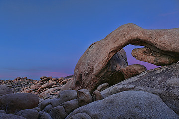 Image showing Landscape in Joshua Tree National Park